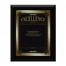 Ebony Excellence Award Plaque
