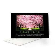Gratitude Cherry Blossoms Greeting Cards (25 Pack) - Greeting Cards