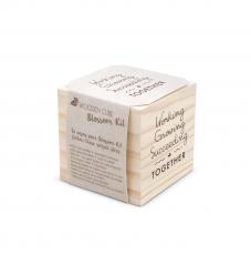 Growing Succeeding Plant Cube - Welcome Gifts