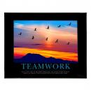 .375 in. Black Aluminum Frame with Plexi