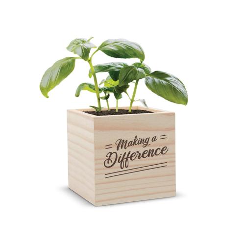Corporate Gifts - Plants & Grow Kits - Teamwork Personalized Plant Cube