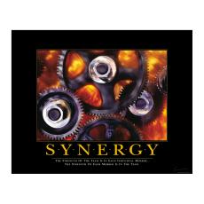 Synergy Motivational Poster - Motivational Posters