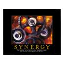 .375 in. Black Aluminum Frame with Plexi