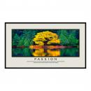 .25 in. Black Aluminum Frame with Mats