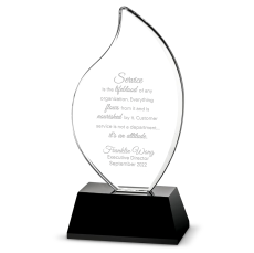 Troy Executive Crystal Award - Awards & Recognition