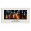 .25 in. Black Aluminum Frame with Mats