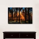 Gallery Canvas