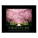 .375 in. Black Aluminum Frame with Plexi .375 in. Black Aluminum Frame with Plexi