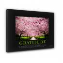 Gallery Canvas Gallery Canvas