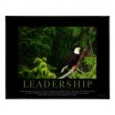 .375 in. Black Aluminum Frame with Plexi .375 in. Black Aluminum Frame with Plexi