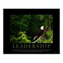 Unframed Poster Unframed Poster