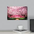 Acrylic Wall Mount Acrylic Wall Mount