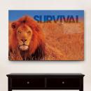 Gallery Canvas Gallery Canvas