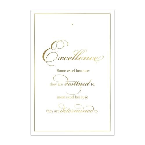 Excellence Mountain Lapel Pin Backer Cards (5 Pack) Awards & Recognition - Lapel Pins - Displays & Accessories - Excellence Mountain Lapel Pin Backer Cards (5 Pack)