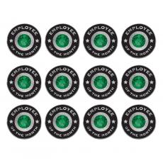 Emerald Employee of the Month Set of 12 Lapel Pins - Employee of the Month