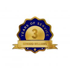 Custom Service Blue Lapel Pin Award - Lapel Pins