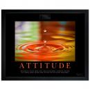 1.5 in. Black Satin Wood