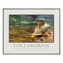 .25 in. Black Aluminum Frame .25 in. Black Aluminum Frame