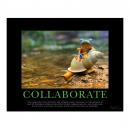 Unframed Poster Unframed Poster