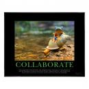 .375 in. Black Aluminum Frame with Plexi .375 in. Black Aluminum Frame with Plexi