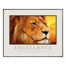 .25 in. Black Aluminum Frame .25 in. Black Aluminum Frame