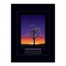 Unframed Poster Unframed Poster