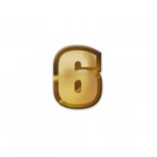 6 Pennant Number Lapel Pin - Lapel Pins