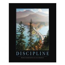 Discipline Bridge Motivational Poster - Motivational Posters