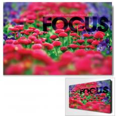 Focus Flowers Motivational Art