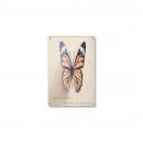 Butterfly Beauty Inspirational Art