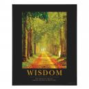 .375 in. Black Aluminum Frame with Plexi