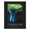 .375 in. Black Aluminum Frame with Plexi