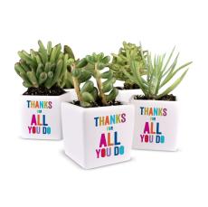 Thanks For All You Do Ceramic Pot Succulent - Plants & Grow Kits