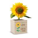 Your Support Makes Us Grow Tall & Strong Your Support Makes Us Grow Tall & Strong
