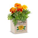 Thank You for Helping Us Bloom Thank You for Helping Us Bloom