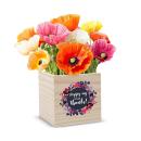 Poppy-ng By to Say Thanks! Poppy-ng By to Say Thanks!