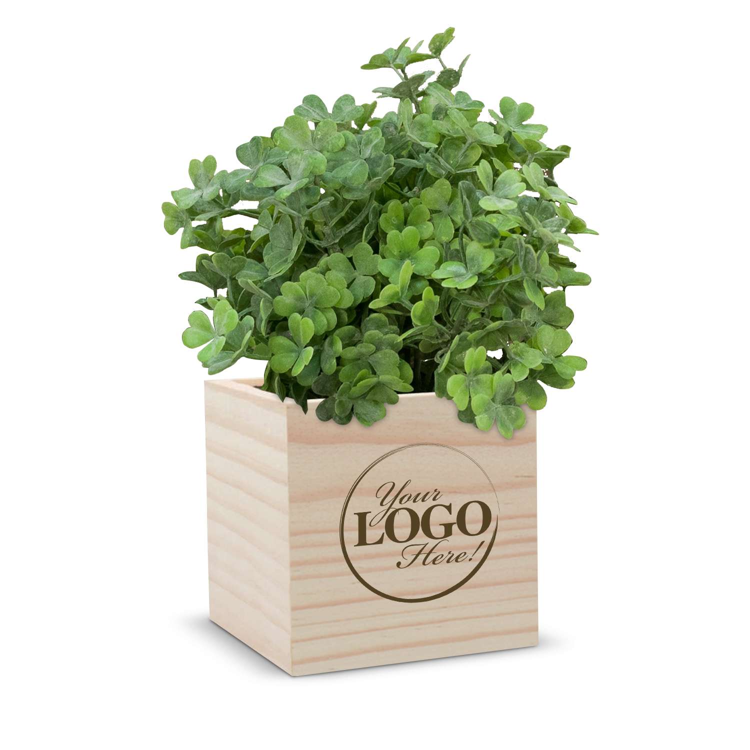 mix plant Indoor Plant Soil Mix - 8 quarts