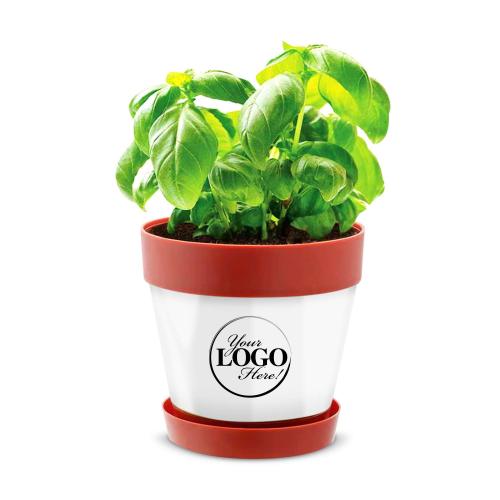 Corporate Gifts - Plants & Grow Kits - Custom Gift Planter Pot