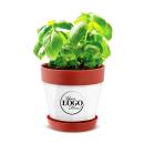 Custom Gift Planter Pot