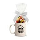 Ready to Learn, Ready to Shine