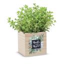 Thanks for your Thyme Thanks for your Thyme