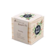 Thanks for Bringing the Heat Wooden Plant Cube - Eco-Friendly Gifts