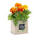 You've Got the Golden Touch