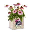 Healing Vibes, Thanks to You!