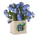 Forget Me Not, We're Here for You