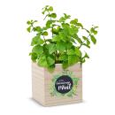 A Little Encourage Mint