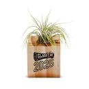 Diploma Class of 2025