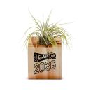 Diploma Class of 2026