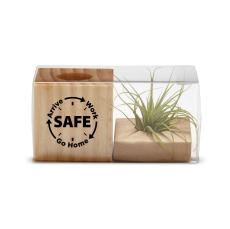 Safety Gift Air Plant - Safety Gifts