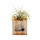 Awesome Teacher Smiley Face